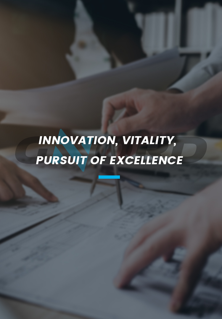 Innovation, vitality, pursuit of excellence